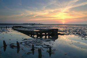 Wrack bei Wierum