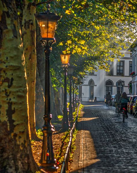 Herfstlicht van Robin Pics (verliefd op Utrecht)