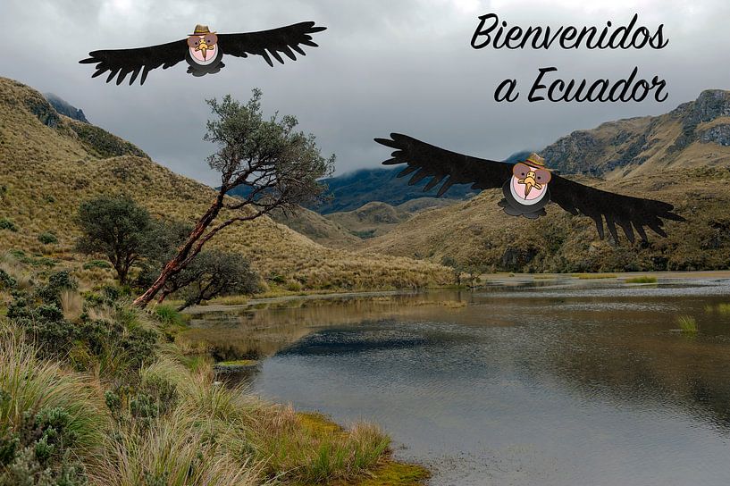Nationaler Naturpark El Cajas Bienvenidos von Grüntyers .