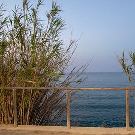 Sur le front de mer sur Yana Koolen