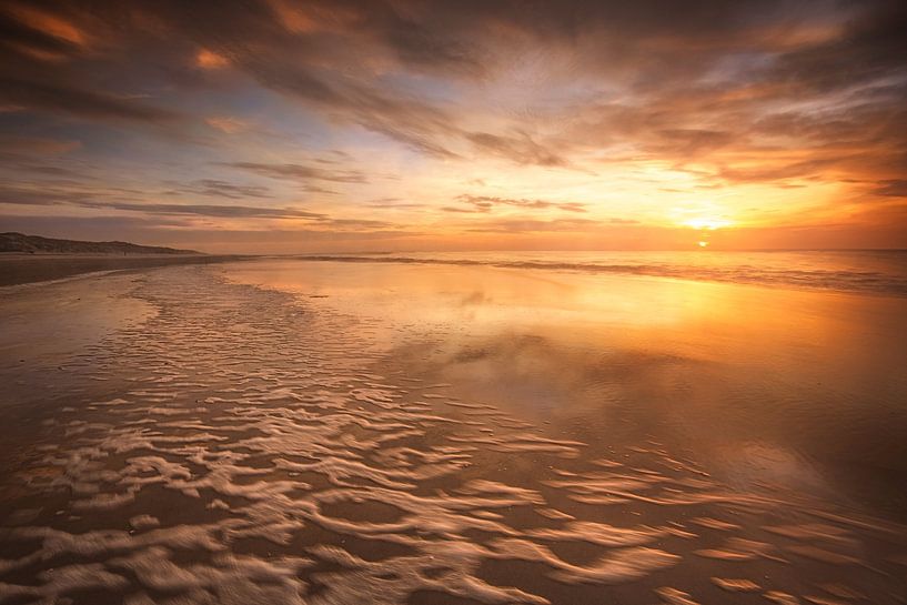 goldenes Licht von Roelie Steinmann