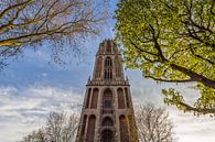 Tour Dom Utrecht depuis le Domplein par une journée ensoleillée par Tux Photography Aperçu