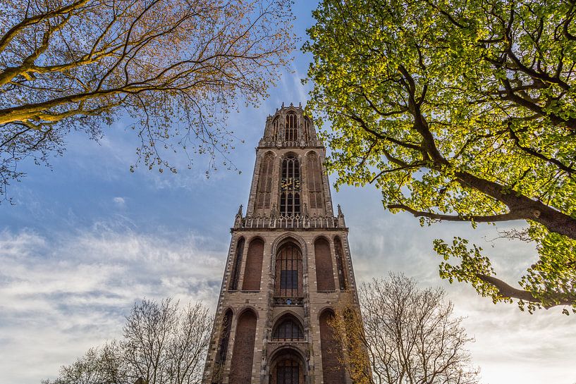 Domturm Utrecht vom Domplein aus an einem sonnigen Tag von Tux Photography