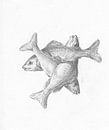 Drei kreuzförmige Fische von Jean-Bernard Duvivier von Gave Meesters Miniaturansicht