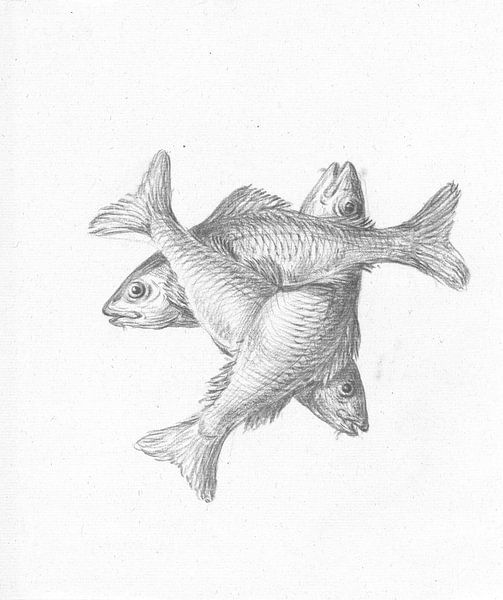 Drei kreuzförmige Fische von Jean-Bernard Duvivier von Gave Meesters