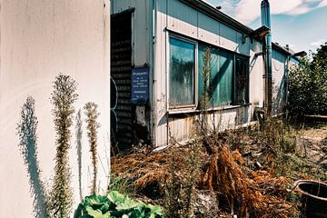 De herovering van de natuur: verlaten wasstraat in Bünde" | Bünde 09/2023 van Momentaufnahme | Marius Ahlers