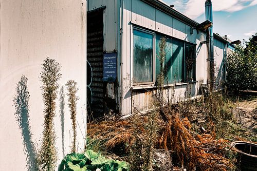 De herovering van de natuur: verlaten wasstraat in Bünde" | Bünde 09/2023