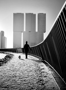 Promenade hivernale avec le chien