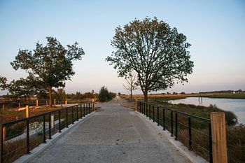 pont dans une réserve naturelle