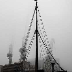 Fog
