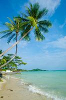 Scenic coast line in Koh Samui