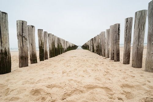 Tussen de golfbrekers