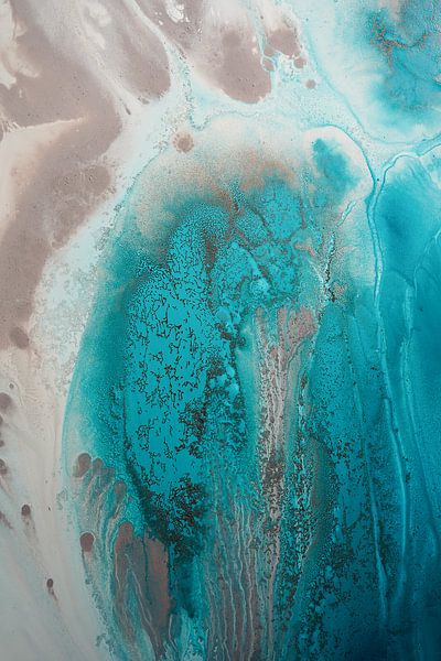Korallenmeer Flow 1 von Petra Meikle de Vlas