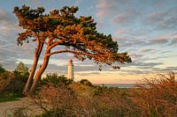 Lighthouse Dornbusch