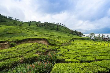 Indonesië