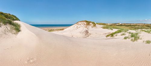 Duinen in Het Noordhollands Duinreservaat, strand en de Noordzee, Bergen aan Zee, Noord-Holland, Ned