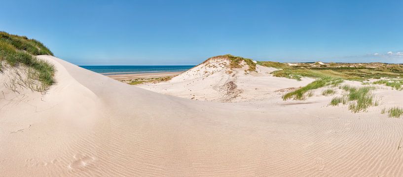 Dunes at the North-Holland Dunes nature reserve, beach and the North Sea, Bergen aan Zee, Holland, N by Rene van der Meer