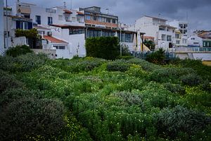 Vieille ville d'Albufeira