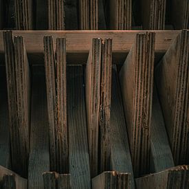 Le bois en lignes sur Daphne Plaizier