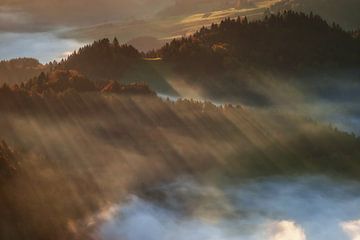 Brouillard à Pieniny sur Wojciech Kruczynski