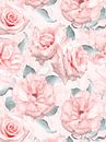 Hygge Roses Garden by Floral Abstractions thumbnail