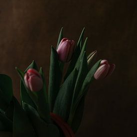 Tulpen von Elena van der Veen