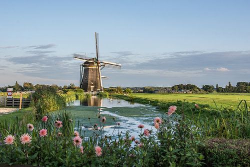 Molen bij Stompwijk
