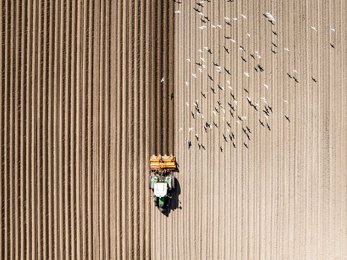 Tractor cultivating the soil seen from above by Sjoerd van der Wal Photography