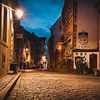 Pittoresk Vianden, Luxemburg tijdens het blauwe uur van Chris Snoek
