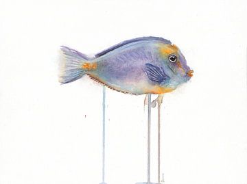 Poissons tropicaux à l'aquarelle sur Atelier DT