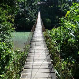 jungle bridge Sumatra by Myrthe Visser-Wind