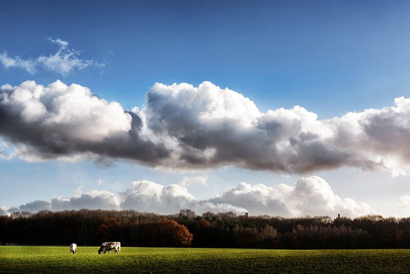 Typisch Hollands  by Emil Cobussen