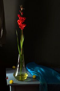 Still life 'Red Gladiolus by Willy Sengers