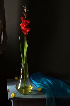 Stilleben 'Rote Gladiolen