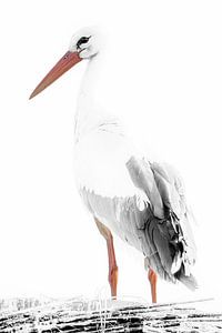 Storch im Dienst