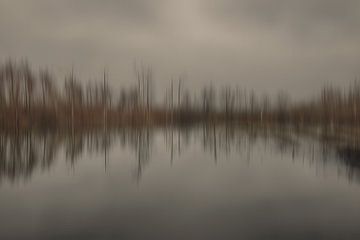 moeras