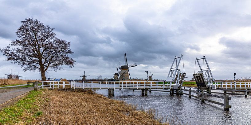 Mills of Kinderdijk behind drawbridge by Kees Dorsman
