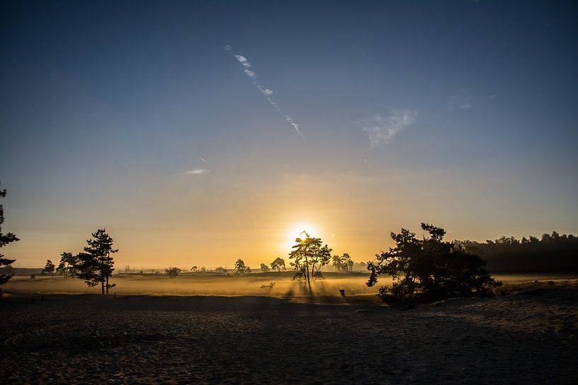 Zonsopkomst Drunense Duinen by Glenn Aoys