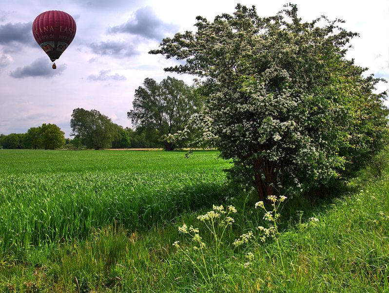 Montgolfière par Edgar Schermaul