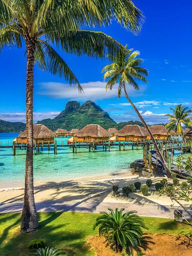Paradijs op aarde: Bora Bora (staand)