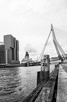 typique de Rotterdam