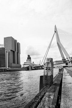 typisch Rotterdam van Lisette Goudkade