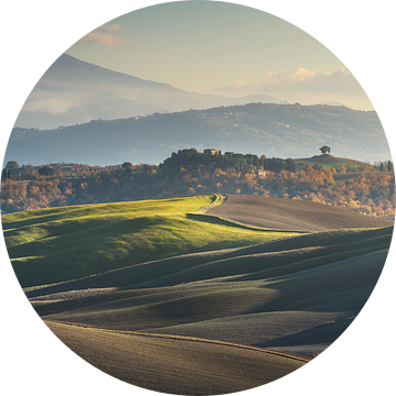 Platteland in Crete Senesi. Toscane
