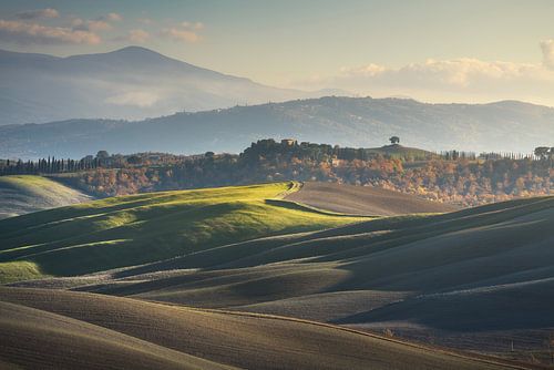 Platteland in Crete Senesi. Toscane