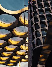 Weltkugeldach und Hohe Katharina von Die Utrechter Fotografie