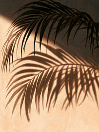Sonnenbeschienene Palmen-Schatten auf einer warmen Wand von Mosaic Dialogue