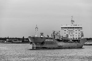 Ship in port of Rotterdam 