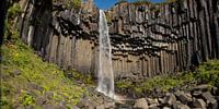 Svartifoss waterfall Iceland