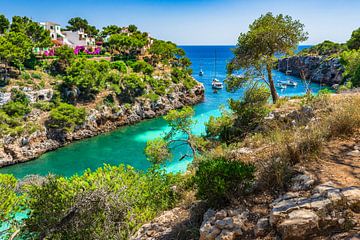 Picturesque bay of Cala Pi with yachts boats, beautiful seaside Majorca, Mediterranean Sea Spain by Alex Winter
