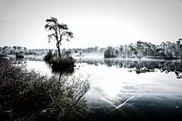 Lac dans la brume